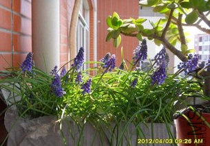 QQ��ͼ20120705134350.png