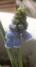 QQ��ͼ20120705134358.png