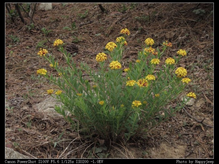 017 �����Ƕ�.jpg