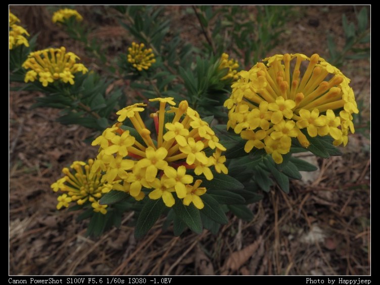 017 �����Ƕ�2.jpg