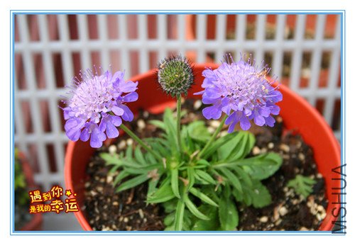 ��Ƭ 133_������.jpg