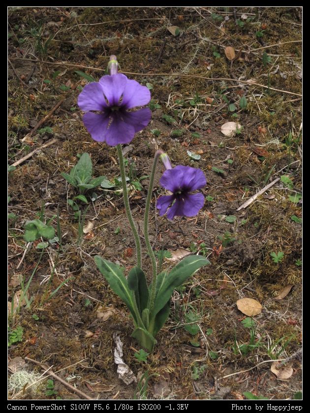 021 ����.jpg