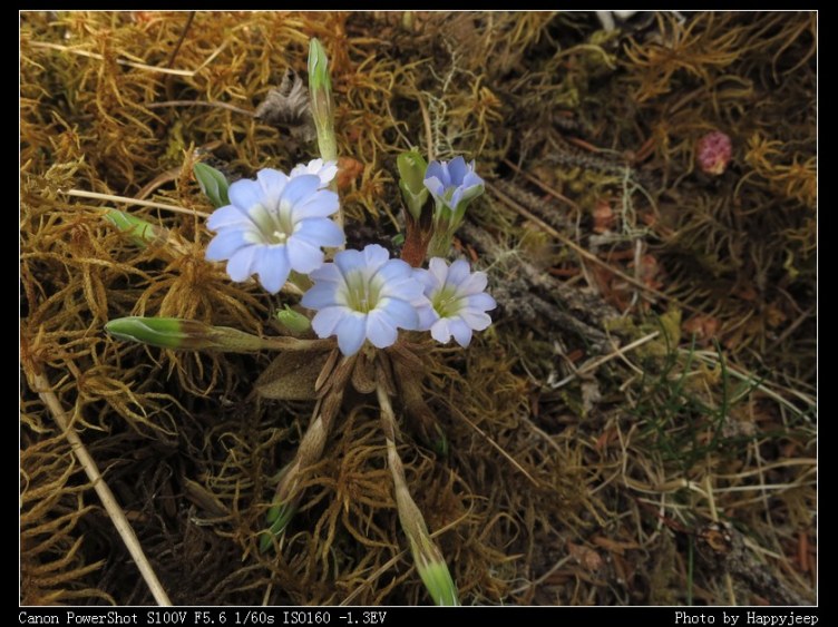 022 ����.jpg