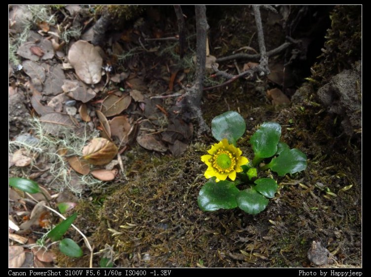 023 ����ʶ.jpg