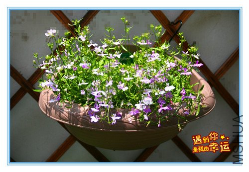 ��Ƭ 048_������.jpg