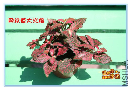 ��Ƭ 020_������1_����.jpg