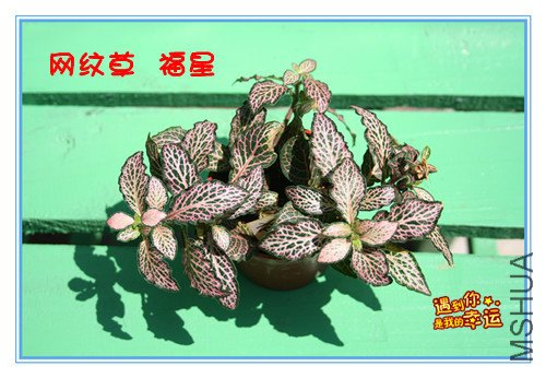 ��Ƭ 021_����2_����.jpg