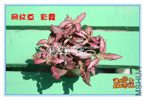 ��Ƭ 022_����3_����.jpg