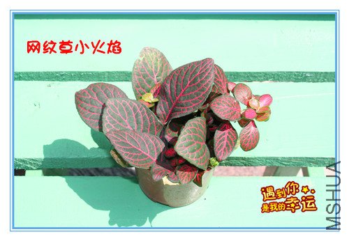 ��Ƭ 023_����4.jpg