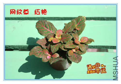 ��Ƭ 024_����5.jpg