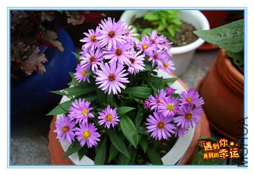 ��Ƭ 020_������_����.jpg