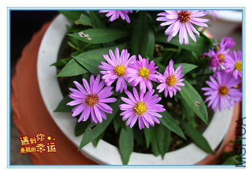 ��Ƭ 022_����2_����.jpg