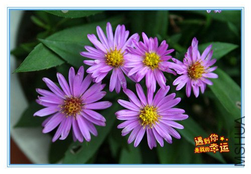 ��Ƭ 024_����3_����.jpg