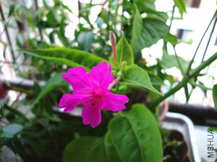 2011.6.28.jpg