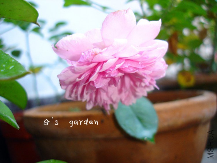 ��Ů  LOGO  222.jpg