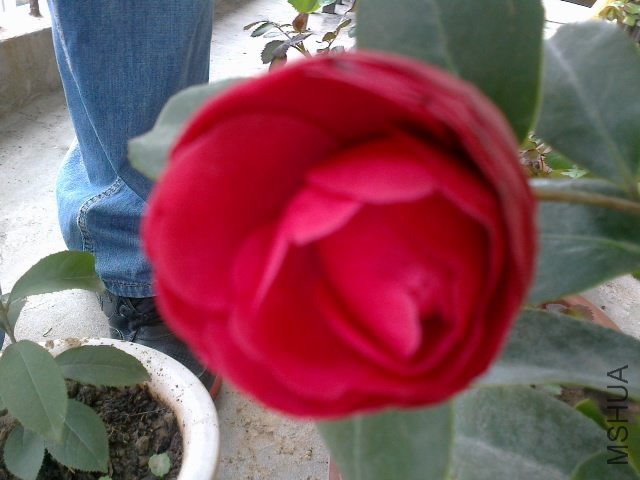 20120329167.jpg