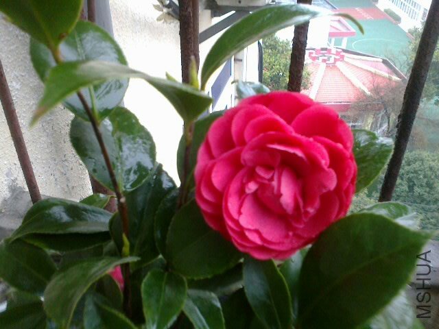 20120330169.jpg