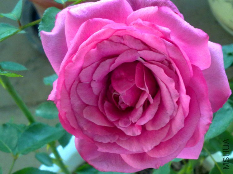 20120424305_����.jpg