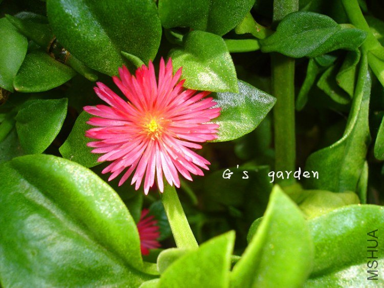 ĵ������  22.jpg