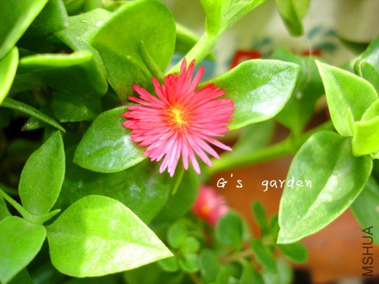 ĵ������  11.jpg