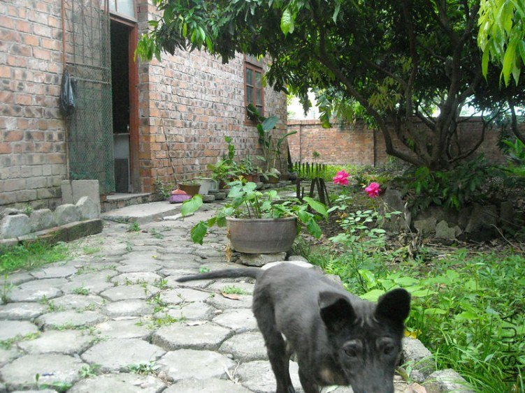 ��Ƭ 008.jpg