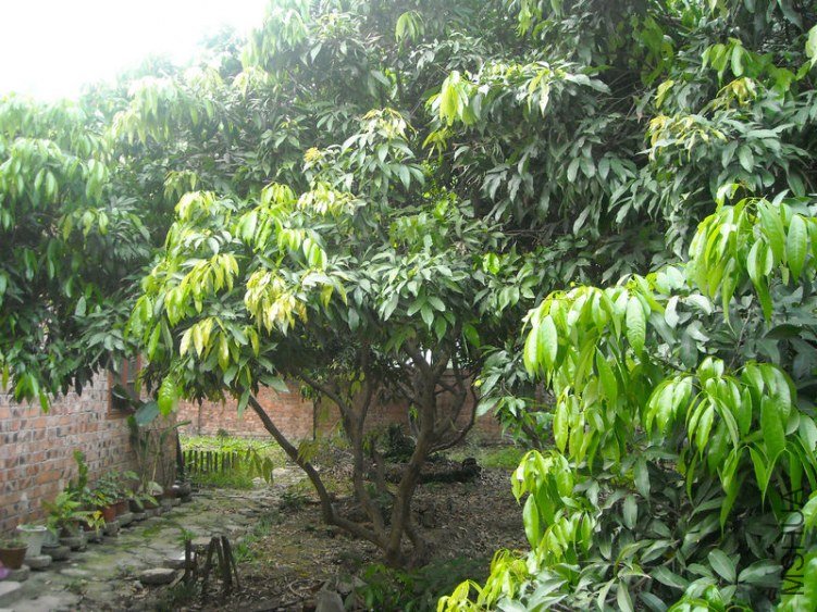 ��Ƭ 010.jpg