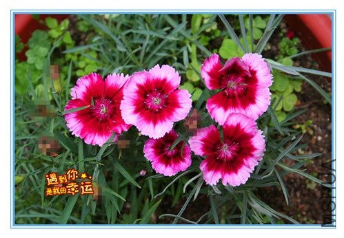 ��Ƭ 110_����ʯ_��ת_����.jpg