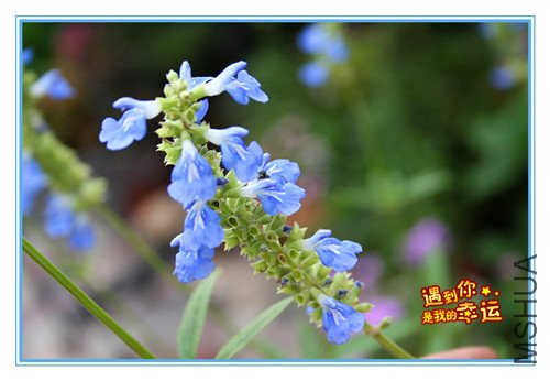 ��Ƭ 027_����.jpg