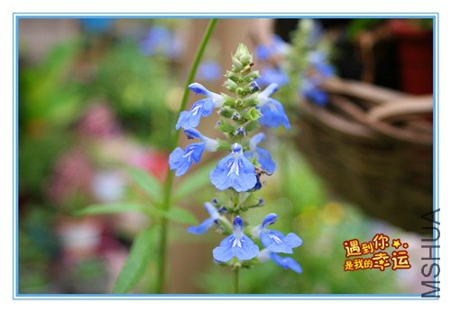 ��Ƭ 064_������1.jpg