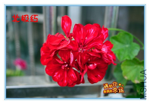 ��Ƭ 004_���� ������ .jpg