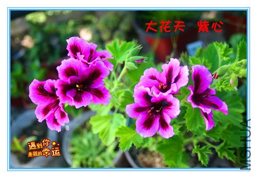 ��Ƭ 025_����.jpg