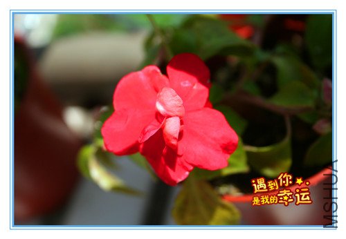 ��Ƭ 071_����3.jpg