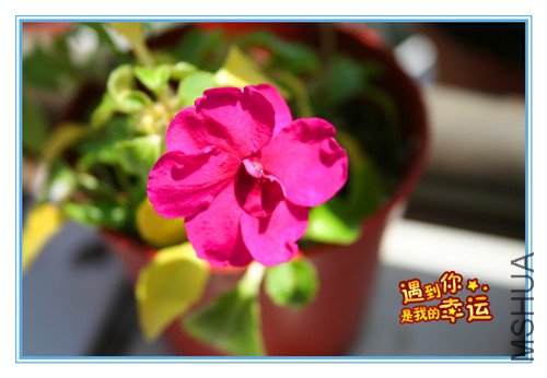 ��Ƭ 070_����2.jpg