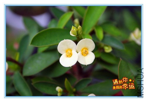 ��Ƭ 080_����2.jpg