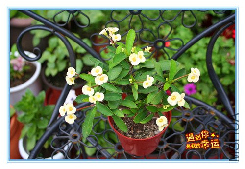 ��Ƭ 079_������1.jpg