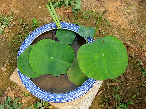 ��Ƭ 008_����.jpg