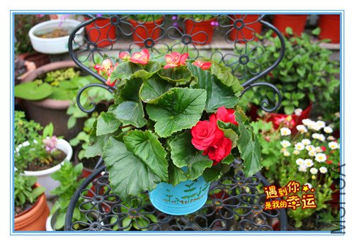 ��Ƭ 042_������1.jpg