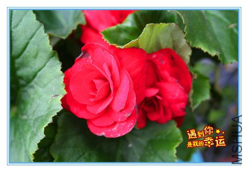 ��Ƭ 048_����3.jpg