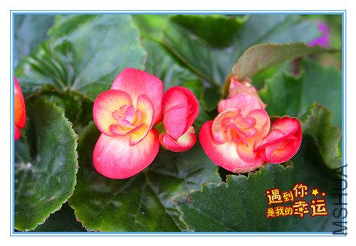 ��Ƭ 045_������2.jpg