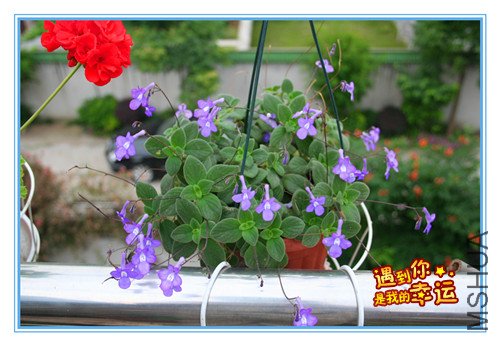 ��Ƭ 166_������1.jpg