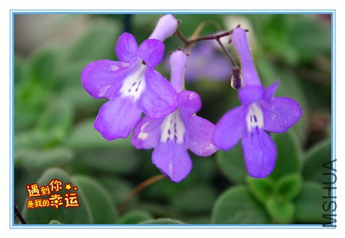 ��Ƭ 168_������2.jpg