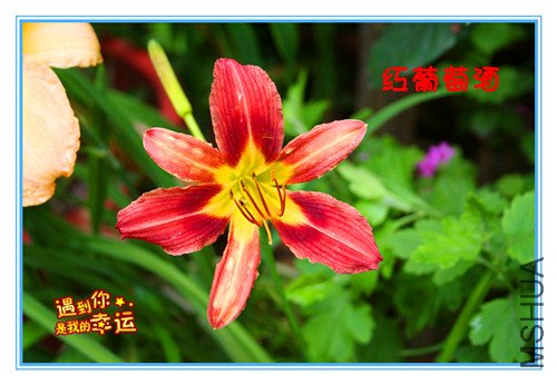 ��Ƭ 003_���������Ѿ�.jpg