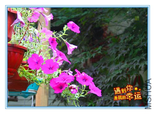 ��Ƭ 010_����.jpg