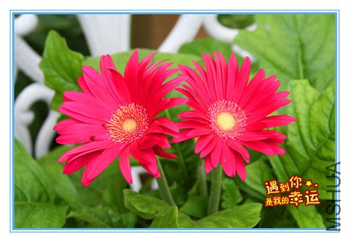 ��Ƭ 034_����.jpg