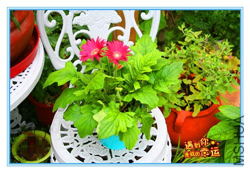 ��Ƭ 033_����.jpg