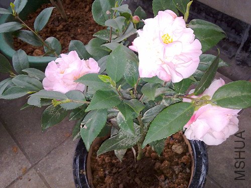 20120311249_����.jpg