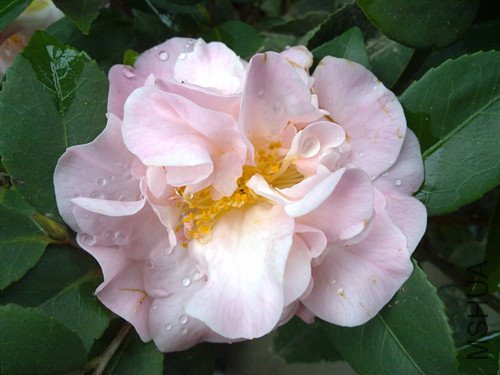 20120311254_����.jpg