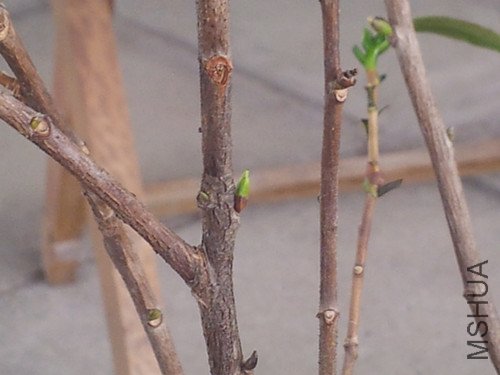 20120708_153854_����.jpg