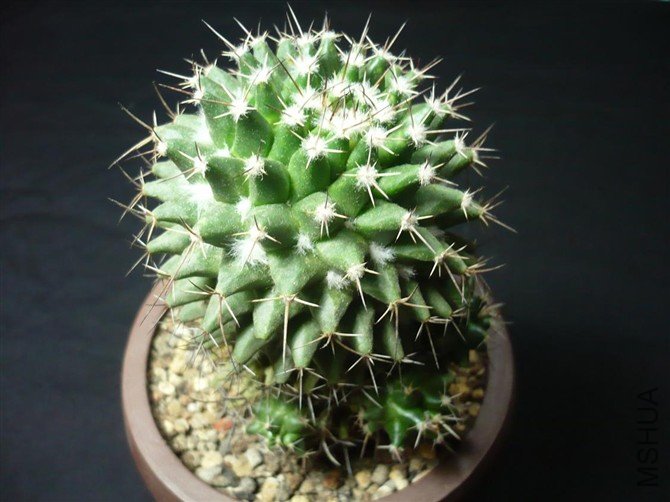 38