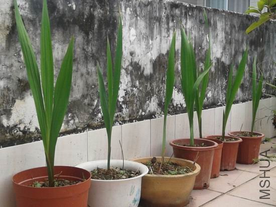 ������С 20120708_135205.jpg